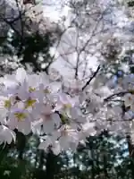 滑川神社 - 仕事と子どもの守り神(福島県)