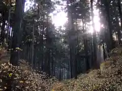 焼森山雷神神社の景色