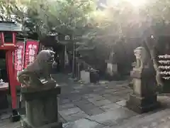 陽運寺の狛犬