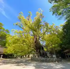 大山祇神社(愛媛県)