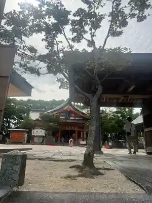 紅葉八幡宮(福岡県)