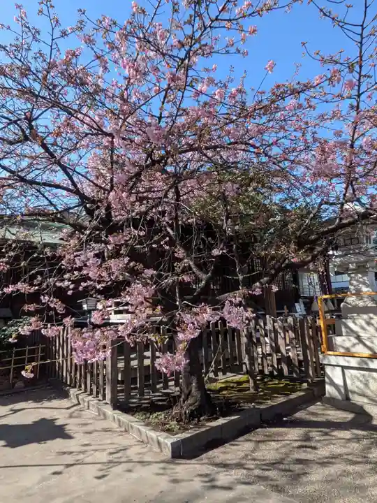 新宿下落合氷川神社(東京都)