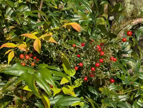 阿久津「田村神社」（郡山市阿久津町）旧社名：伊豆箱根三嶋三社(福島県)