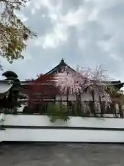 善照寺(東京都)