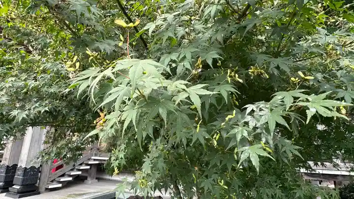 傑山寺(宮城県)