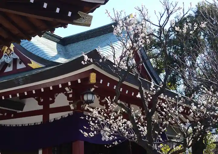 亀戸天神社(東京都)
