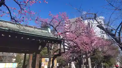 矢先稲荷神社の御朱印