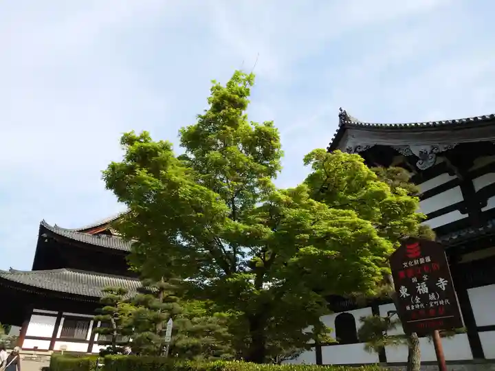 東福禅寺(東福寺)(京都府)