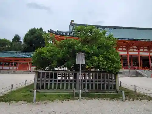 平安神宮(京都府)