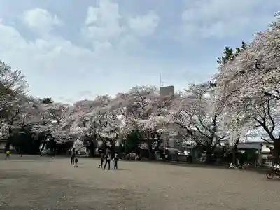 神明大神宮(神奈川県)