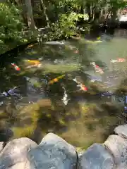 伊勢神宮内宮（皇大神宮）(三重県)