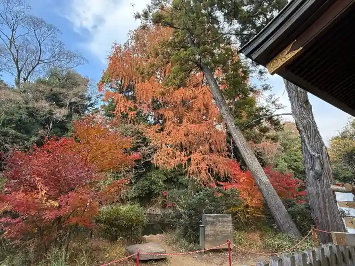 武蔵一宮氷川神社(埼玉県)