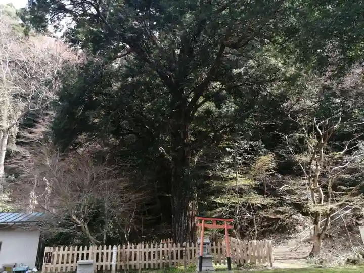 金剛院(京都府)