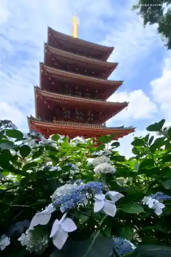 高幡不動尊　金剛寺の塔