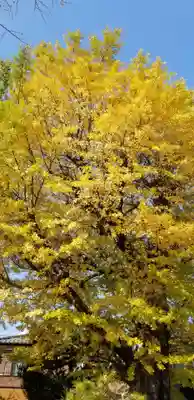 高木神社の自然