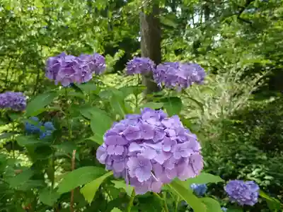 三千院門跡(京都府)