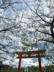 子檀嶺神社(長野県)