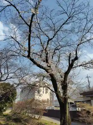 諏訪神社(埼玉県)