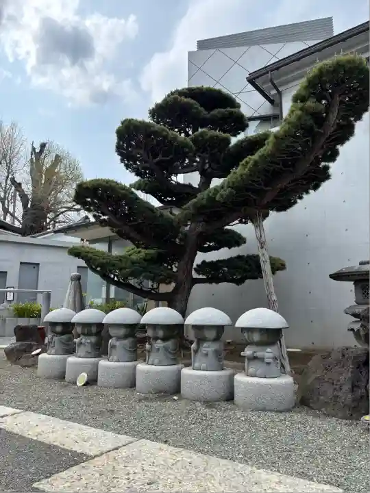圓通寺(東京都)