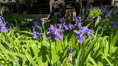 得浄明院（善光寺別院）(京都府)