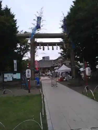 浅草神社の鳥居