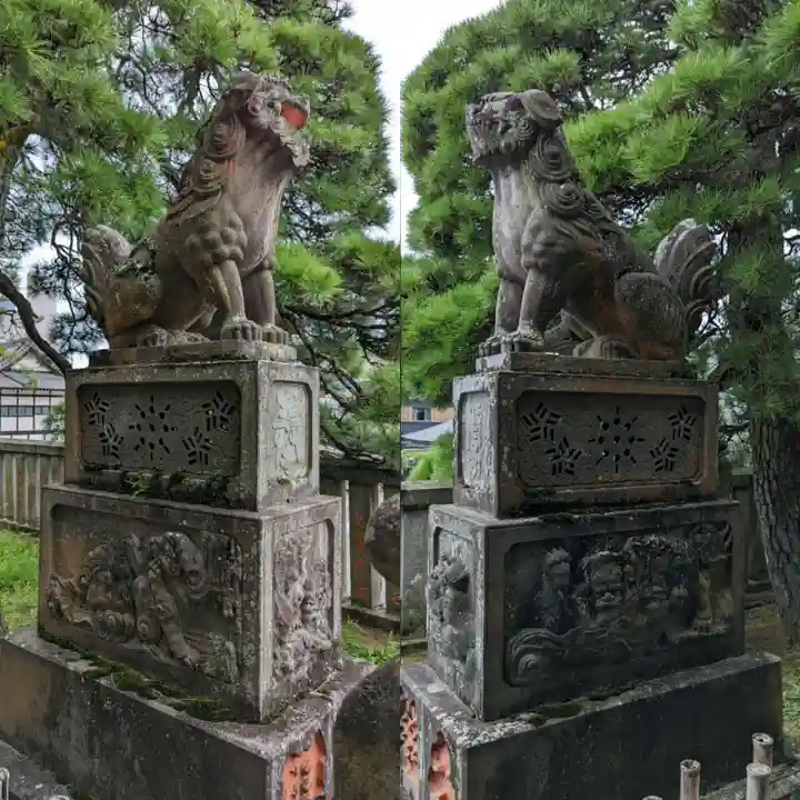 成田山新勝寺の狛犬