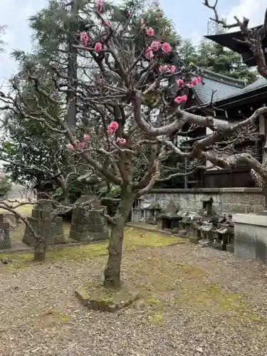 水海道天満宮の{uncategorized: "未分類", other: "その他", undefined: "問題あり", building: "その他建物", grave: "お墓", sacred_gate: "鳥居", guardian: "狛犬", statue: "像", buddha: "仏像", history: "歴史", nature: "自然", garden: "庭園", animal: "動物", pagoda: "塔", temizu: "手水舎", mountain_gate: "山門・神門", sanctuary: "本殿・本堂", subordinate: "末社・摂社", art: "芸術", scenery: "景色", jizo: "地蔵", ema: "絵馬", goshuin: "御朱印", omikuji: "おみくじ", items: "授与品その他", amulet: "お守り", goshuincho: "御朱印帳", eats: "食事", festival: "お祭り", votive_dance: "神楽", shichigosan: "七五三参", wedding: "結婚式", experience: "体験その他", initially: "初詣", around: "周辺", anti_infection: "感染症対策"}