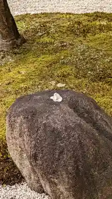 建仁寺（建仁禅寺）(京都府)