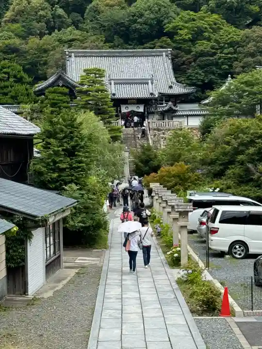 柳谷観音 楊谷寺(京都府)