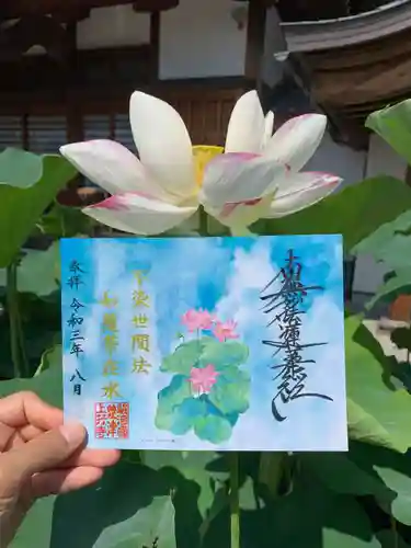 上行寺の御朱印