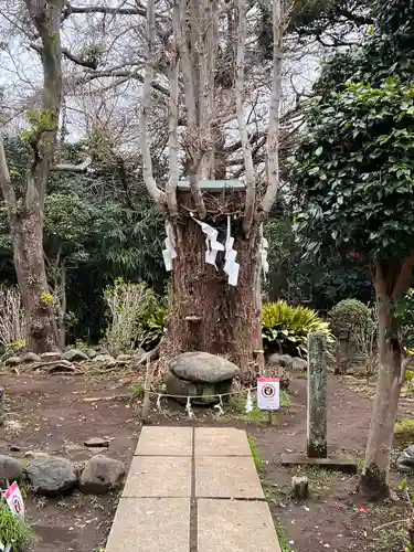 江島神社のその他建物