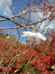 百済寺(滋賀県)