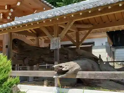 福祥寺（須磨寺）のその他建物