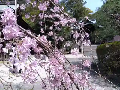 岡崎神社(京都府)