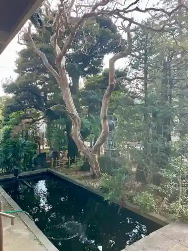 安養寺(東京都)