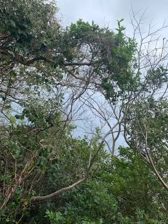 杵崎神社の自然