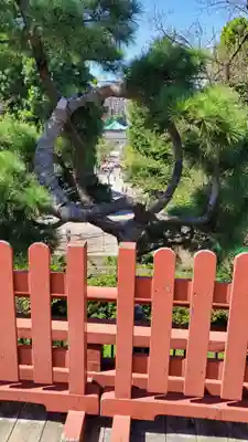 清水観音堂(東京都)