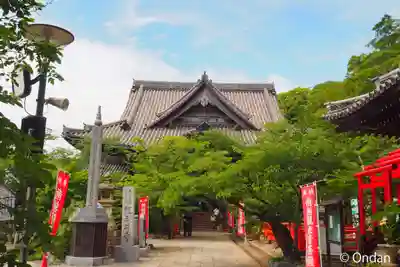 金剛宝寺（紀三井寺）の本殿・本堂