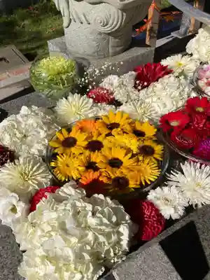 新川皇大神社の手水舎