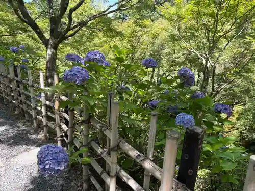 東福禅寺（東福寺）(京都府)