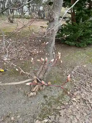 砂川神社(北海道)