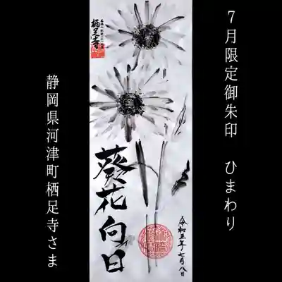 かっぱの寺 栖足寺(静岡県)