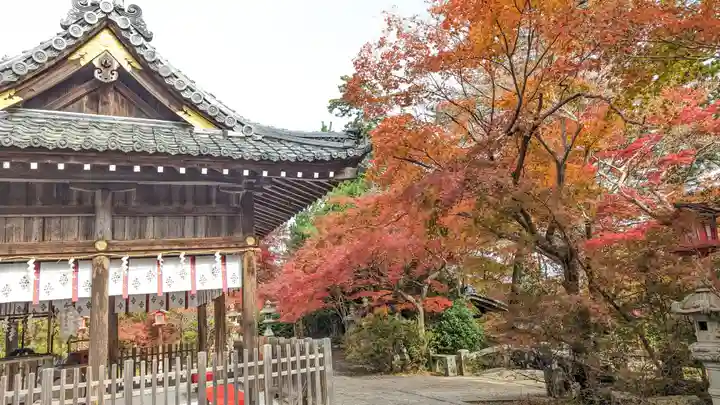 鍬山神社(京都府)