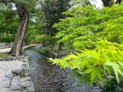 賀茂別雷神社（上賀茂神社）(京都府)