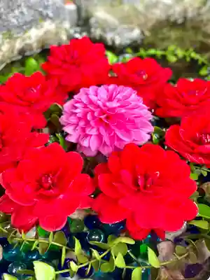 伊達神社の手水舎