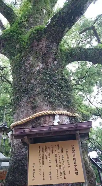 熊野那智大社の歴史