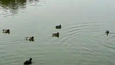 橿原神宮(奈良県)