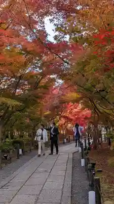 禅林寺(永観堂)(京都府)