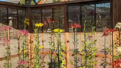 大覚寺(京都府)