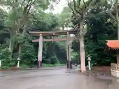 明治神宮の鳥居